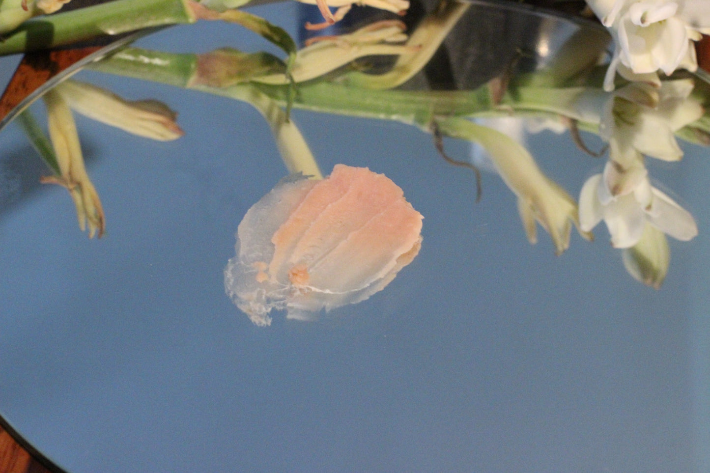 TICKLED PINK - soothing & moisturizing body butter